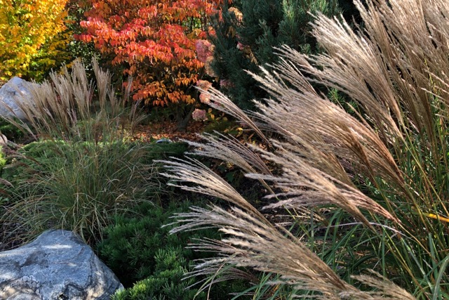 Gotowe projekty ogrodów za szeregowcem